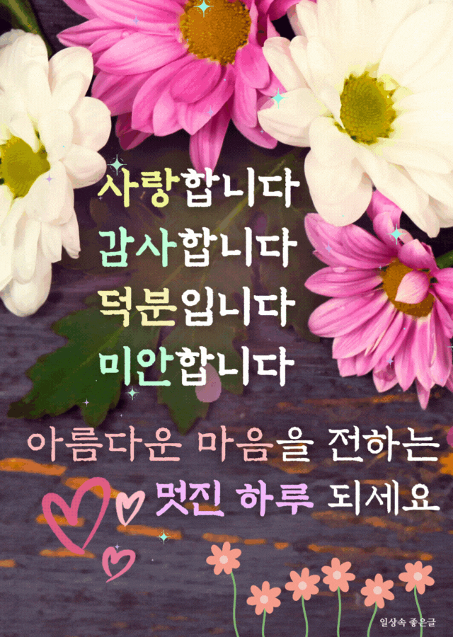 분홍과 흰색 데이지 꽃 위에 사랑과 감사 등 여러 인사말 문구가 적힌 감성 일러스트 이미지