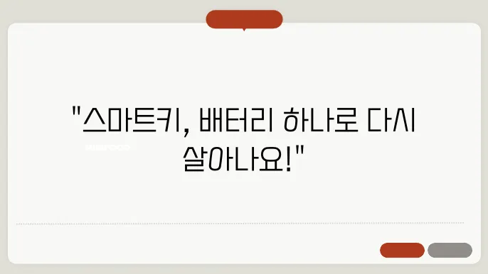 스마트키 배터리 특성