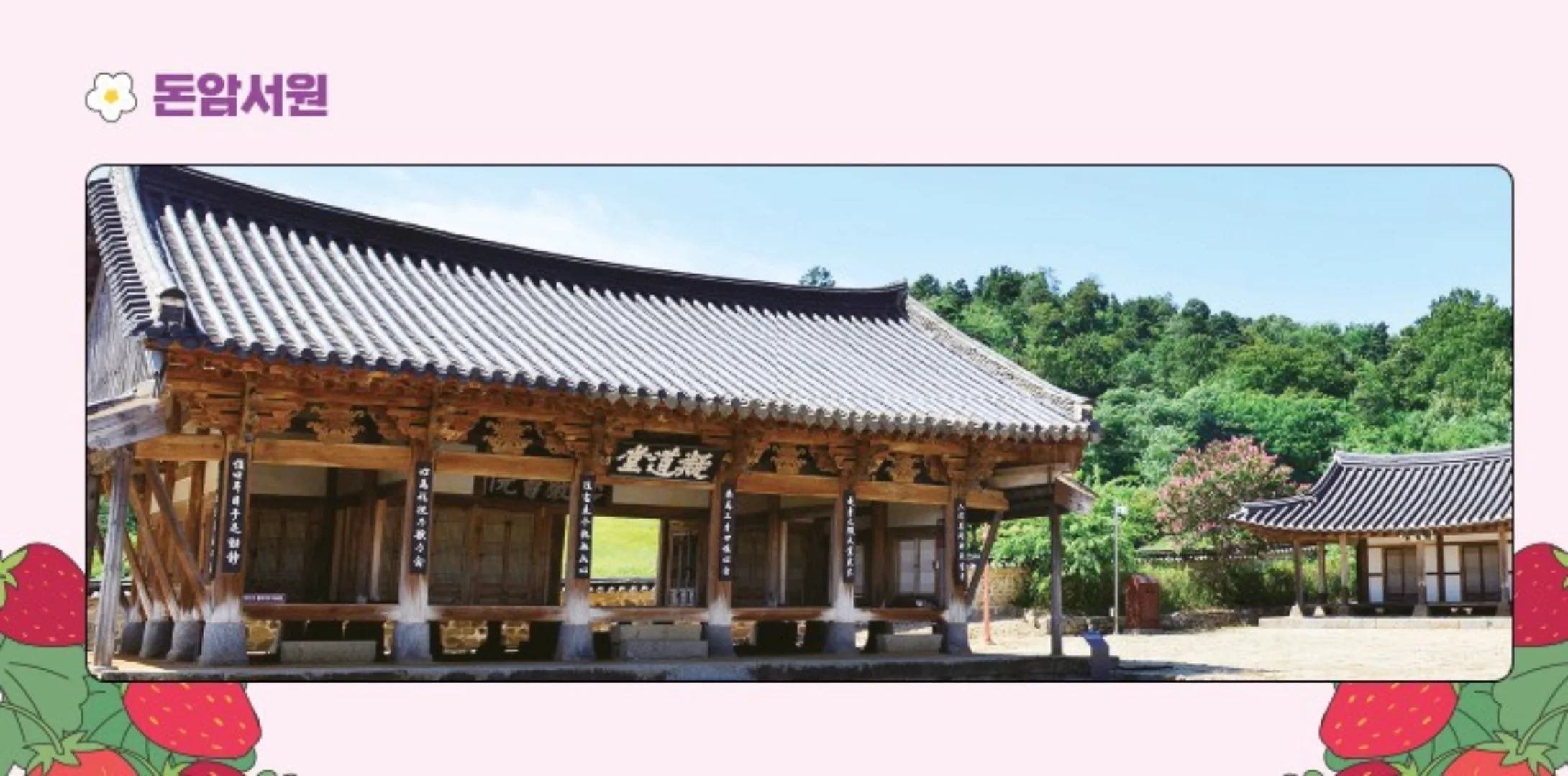 논산 딸기축제 2025