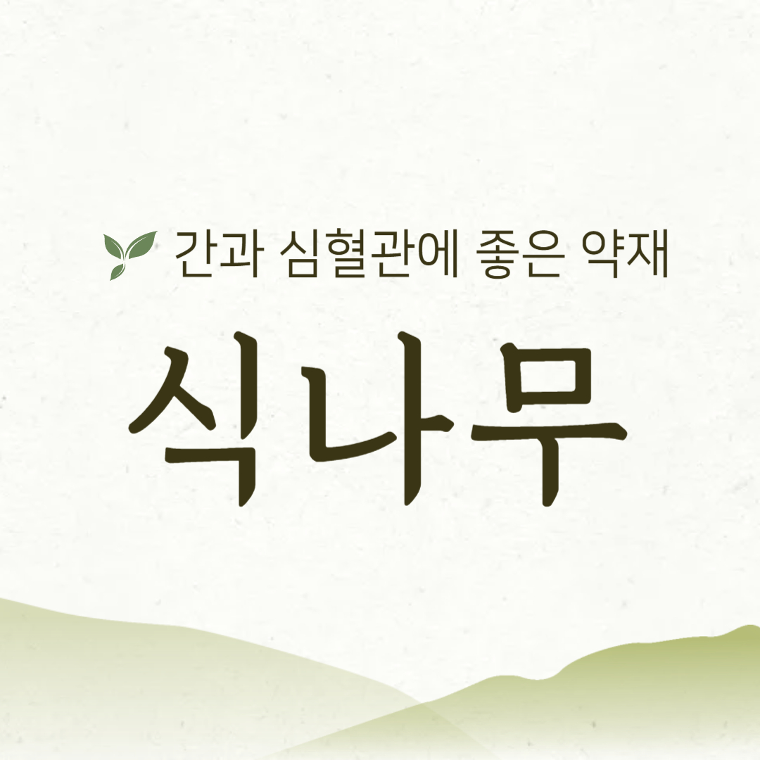 간과 심혈관에 좋은 식나무