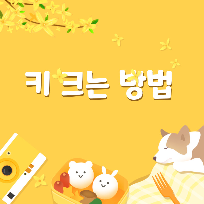 키 크는 방법