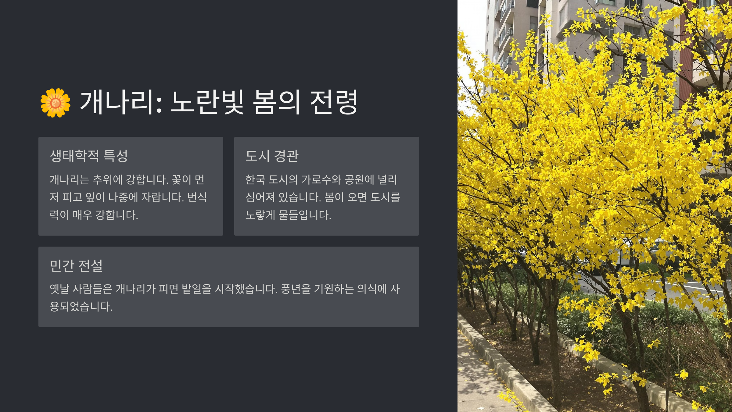 봄꽃 종류와 이름 그리고 그 의미