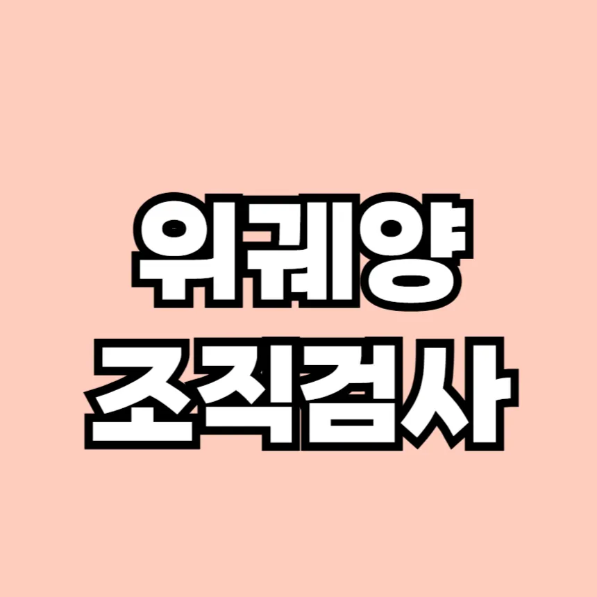 위궤양 조직검사