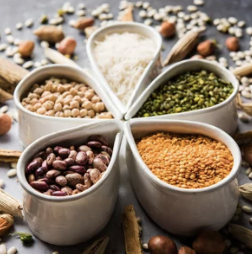 빈혈에 좋은 콩류