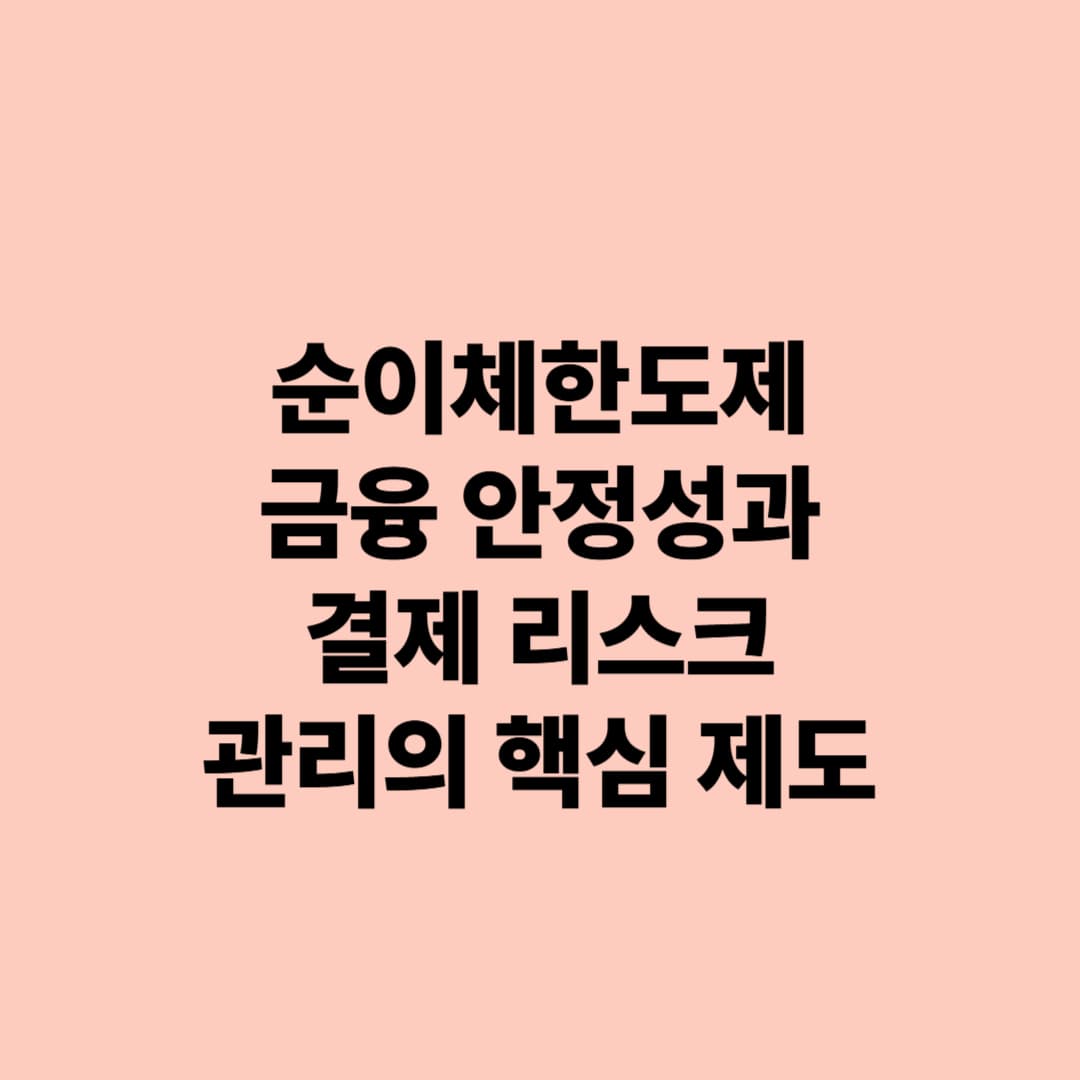 순이체한도제: 금융 안정성과 결제 리스크 관리의 핵심 제도