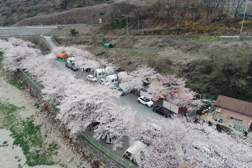 밀양 패밀리오토캠핑장 소개