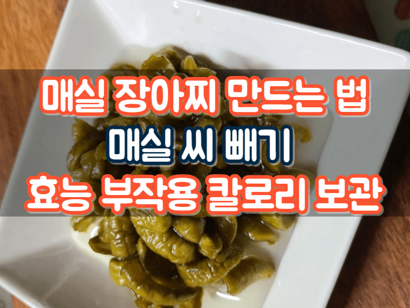 매실 장아찌 만드는법 매실씨 빼기 효능 칼로리 레시피