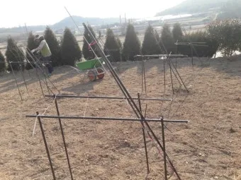 지지대 설치 방법 고추 토마토 참외 수박 쓰러짐 예방_25