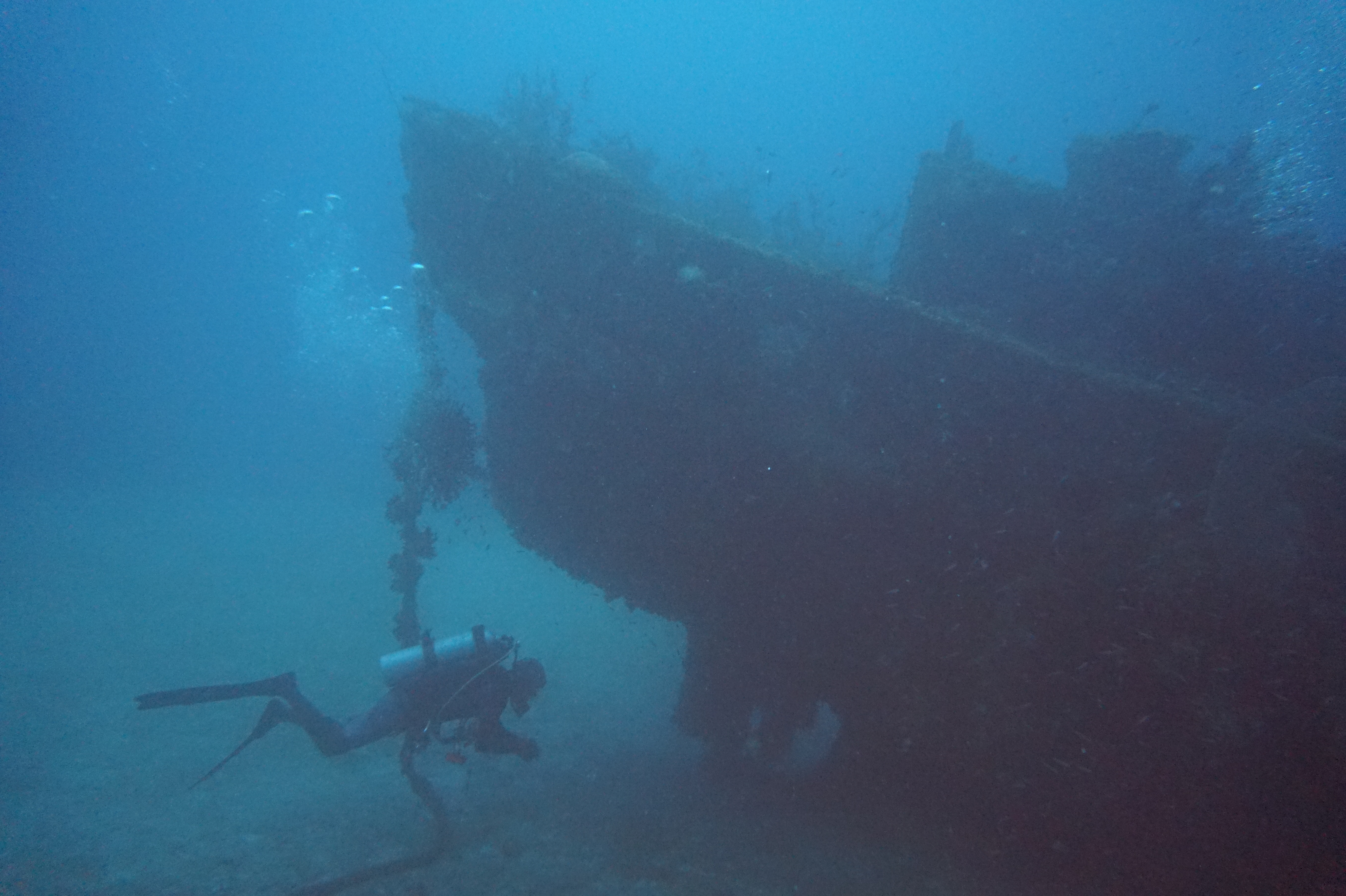 침몰선 다이빙 사진
