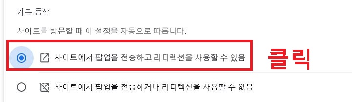 사이트에서 팝업을 전송하고 리디렉션을 사용할 수 있음 선택함
