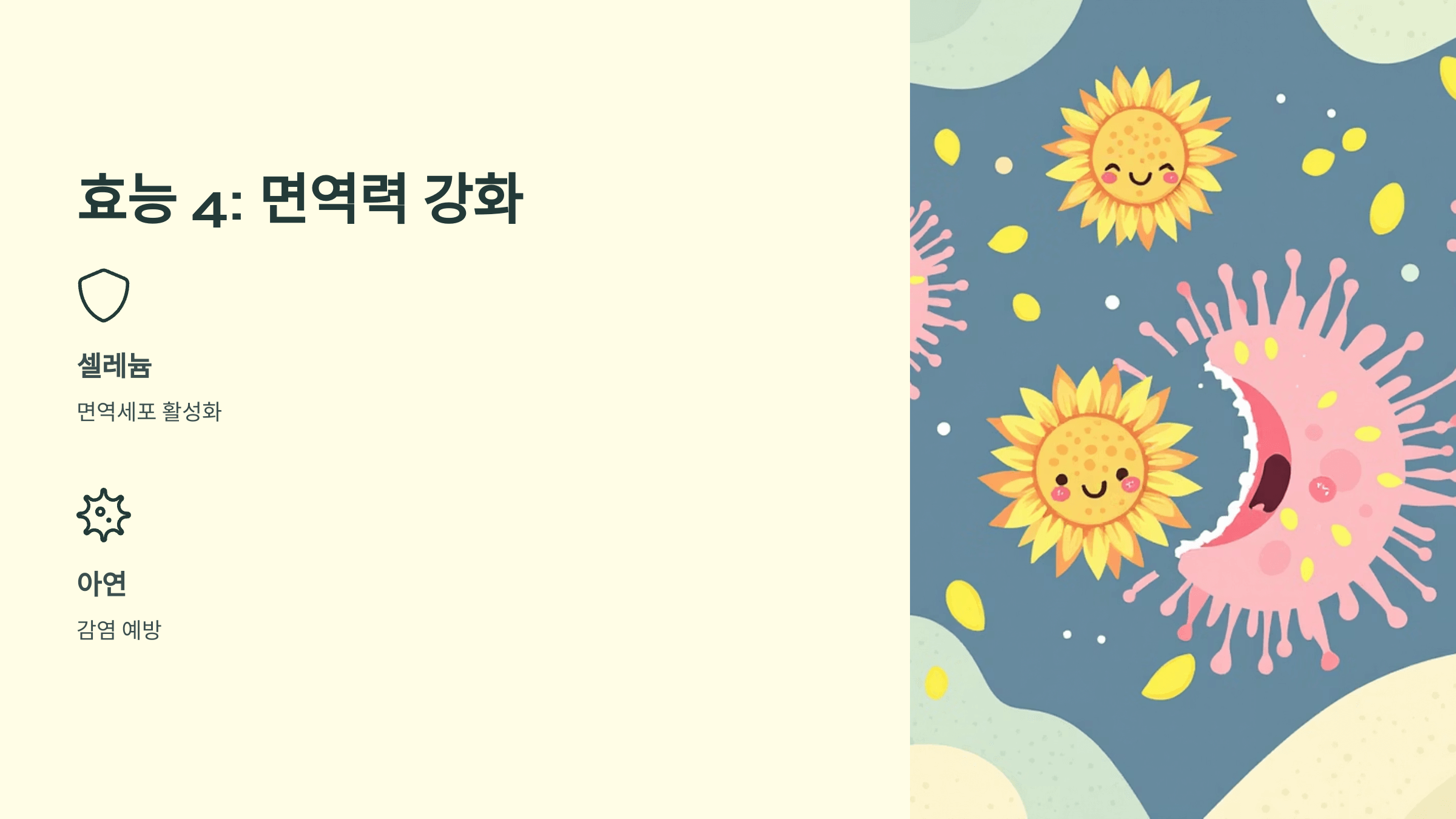 해바라기씨 사진입니다.