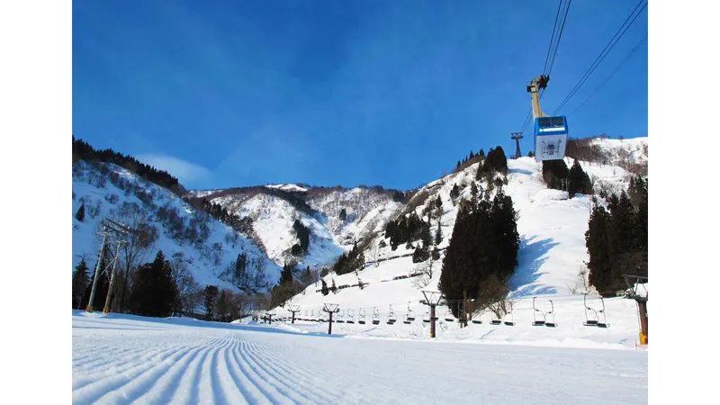 유자와 고원 스키장(니가타)