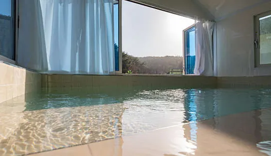 홀리독 애견 풀빌라