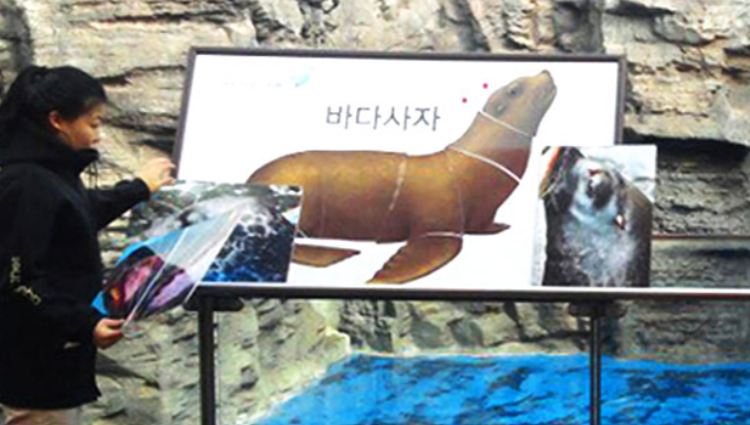 여수 아쿠아리움