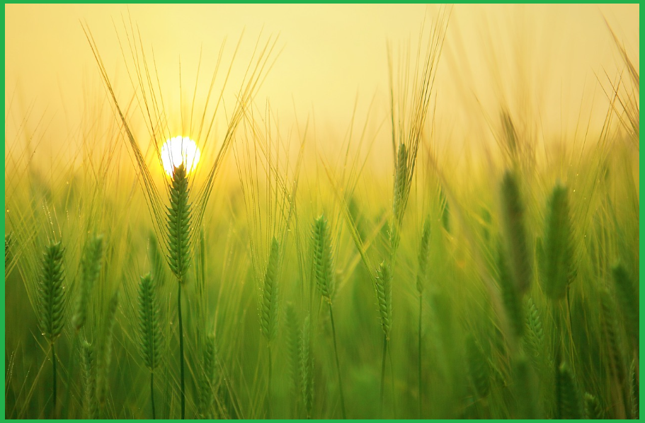 봄-여행지-베스트