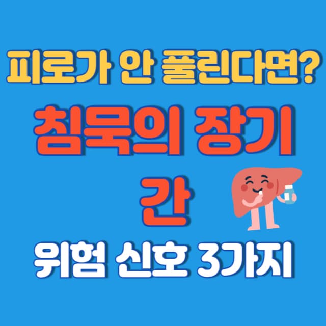 피로가 안 풀린다면? 침묵의 장기 간이 보내는 위험 신호 3가지