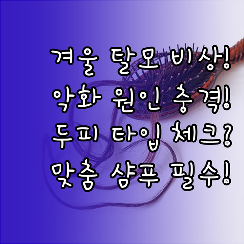 겨울 탈모 악화 원인과 두피 타입별 ..