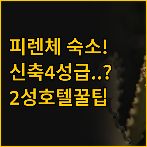 피렌체 숙소 선택 가이드 신축 4성급..