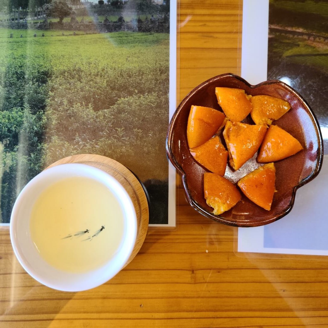 제주도 여행지 추천