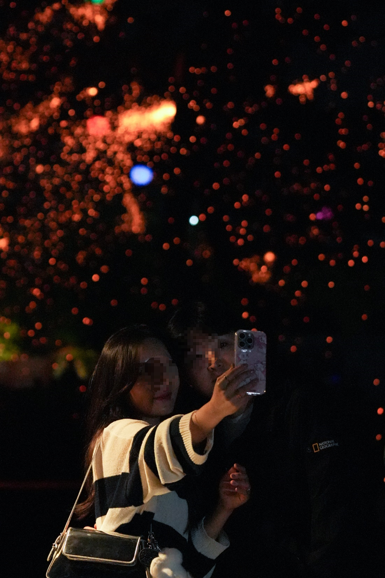 세종 낙화축제 2025 일정, 장소, 볼거리 완벽 가이드