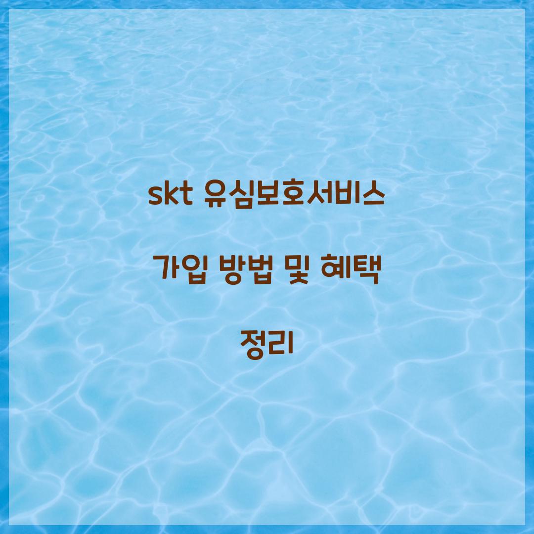 skt 유심보호서비스 가입