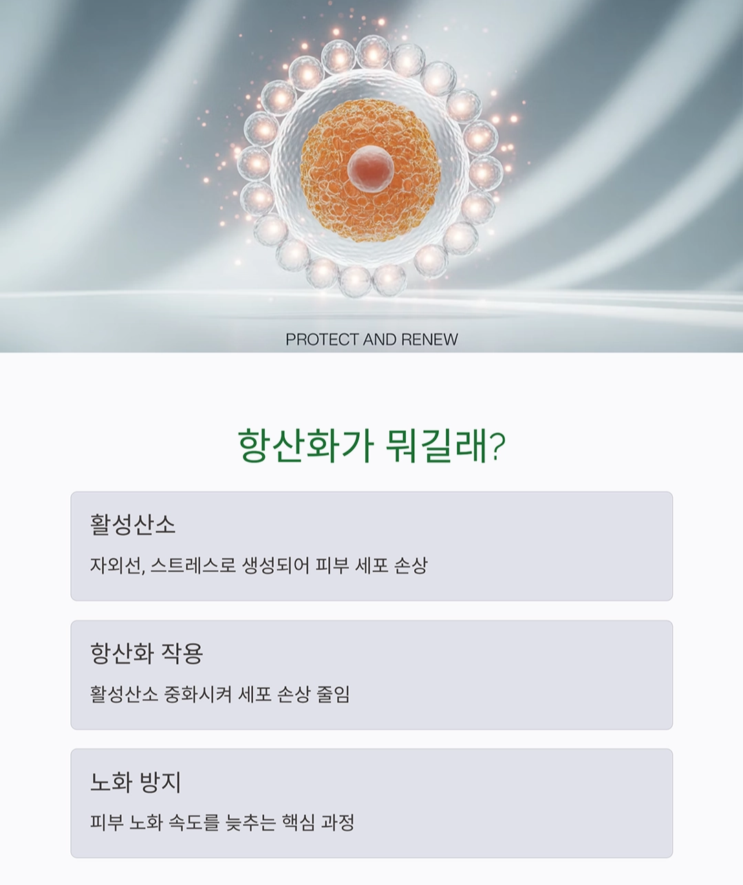 피부 나이는 습관에서 결정된다! 항산화 루틴으로 피부 노화 방지하는 법