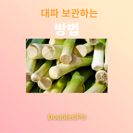 대파 보관하는 방법