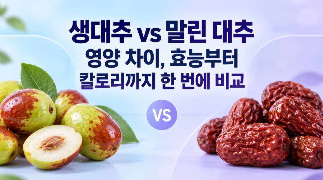 생대추 vs 말린 대추 영양 차이, 효능부터 칼로리까지 한 번에 비교