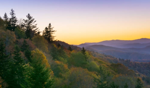 국립공원 실시간 cctv 모바일