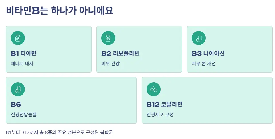 비타민b 복합군