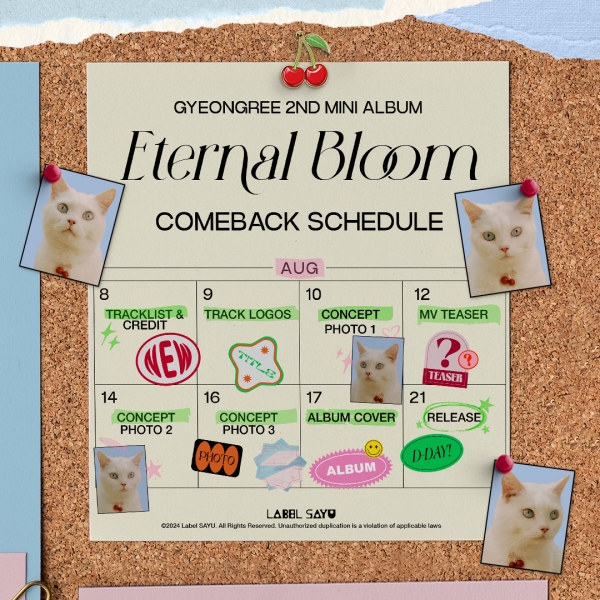 eternal bloom 음반