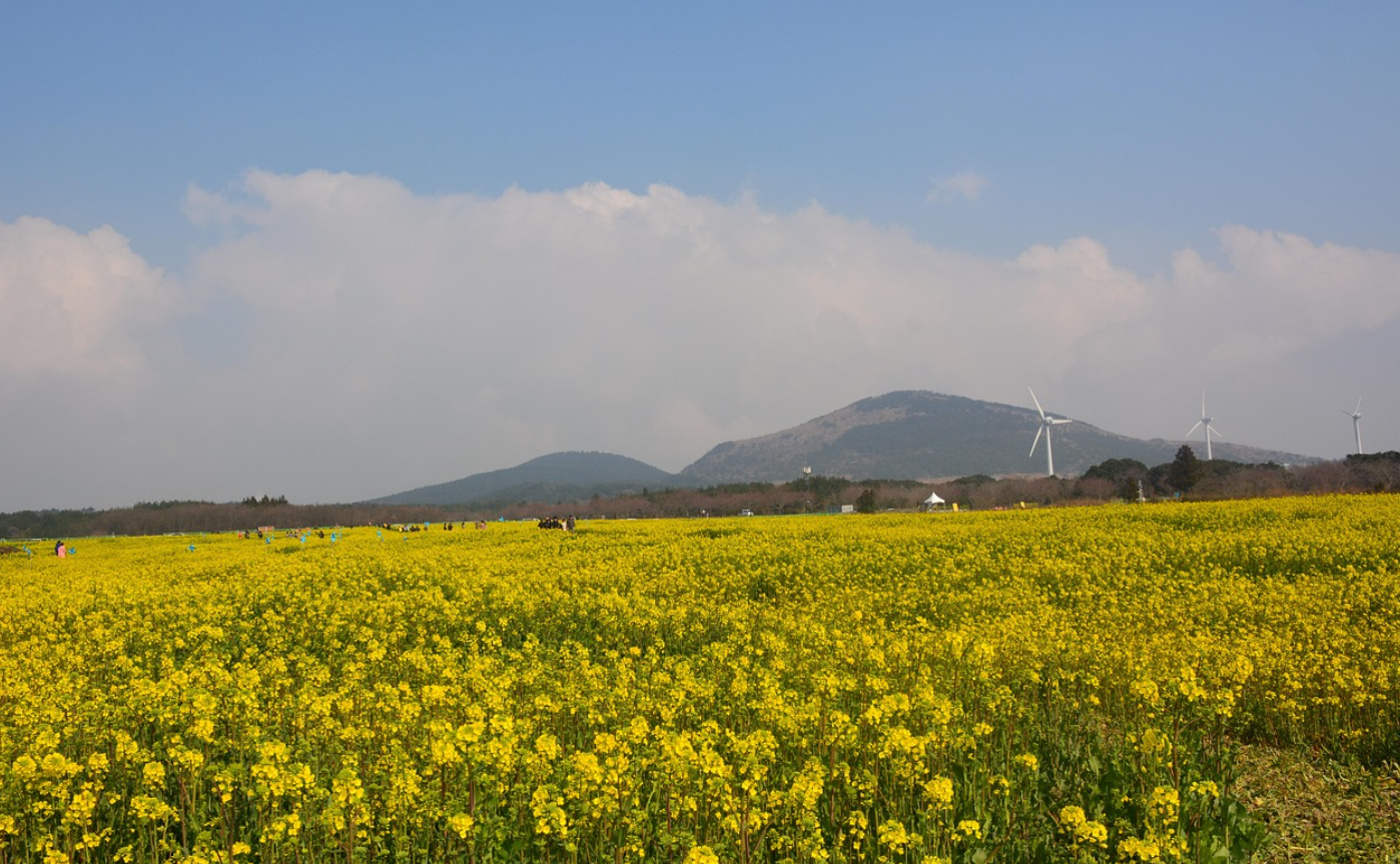 경험을 위한 소비 - 1인 여행의 치유 효과