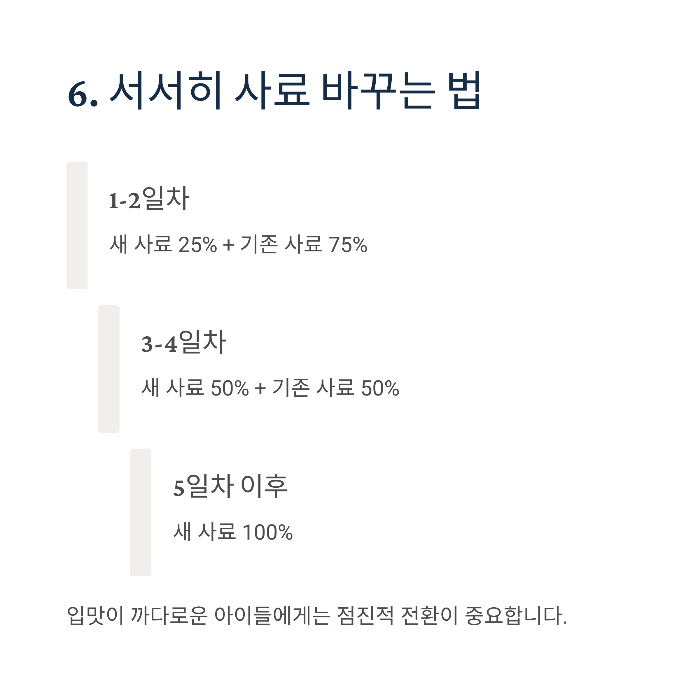 강아지 사료 안먹을 때