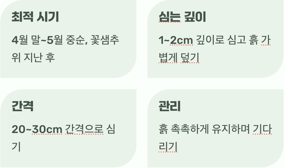 씨앗을 심는 가장 좋은 시기