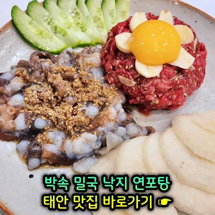 생방송 투데이 충남 태안 낙지 한상 박속밀국낙지탕 맛집