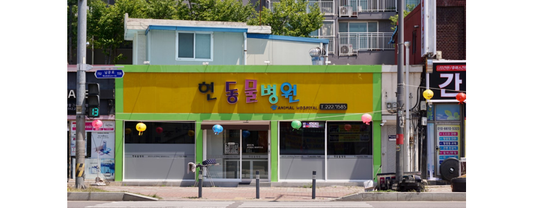 광주 동구 동물병원