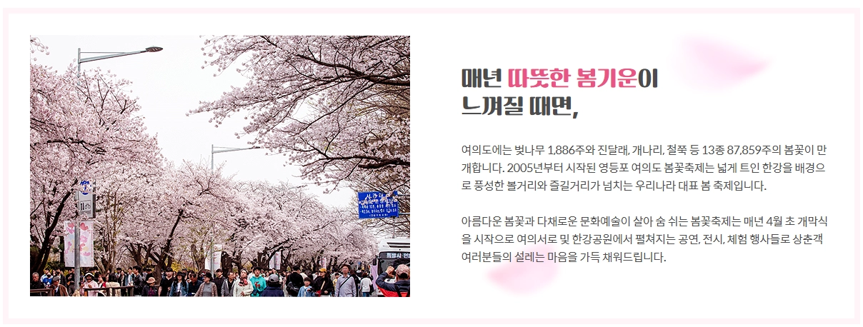 여의도 벚꽃 축제