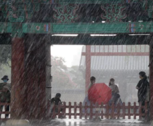 비 맞는 꿈 비 오는 꿈 폭우 홍수 비옷 비바람