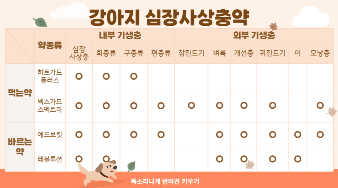 강아지 기생충 진드기 구충약