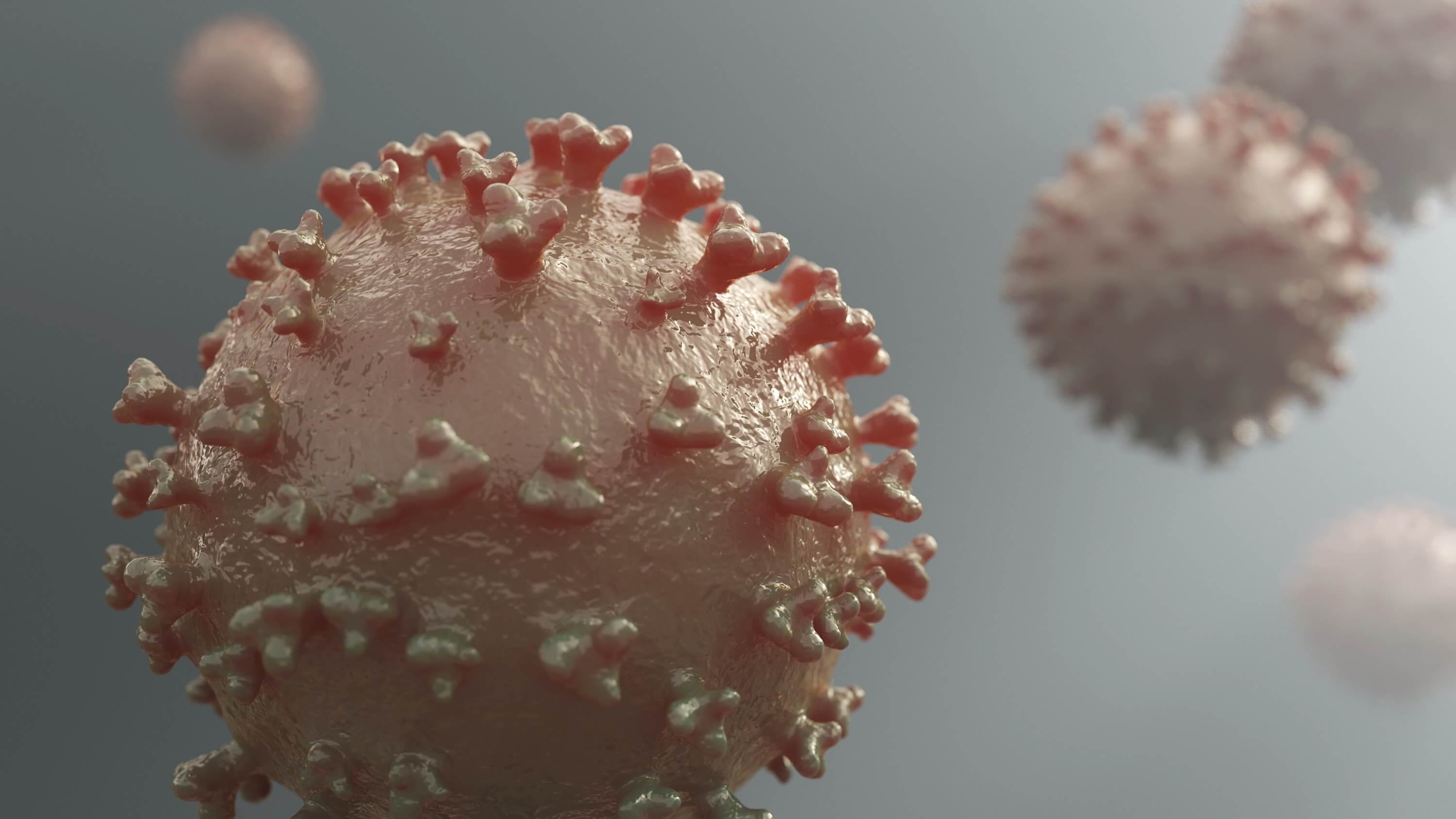 코로나-바이러스-세포