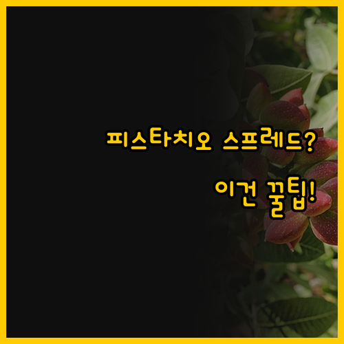 피스타치오 스프레드 완벽 선택법 목적..