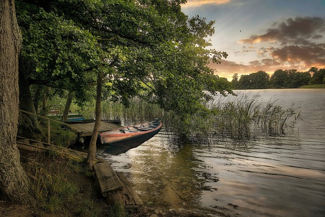 국립자연휴양림 성수기 예약