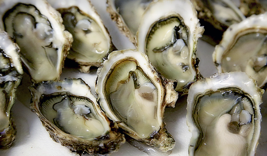 영양이 풍부한 해산물 굴