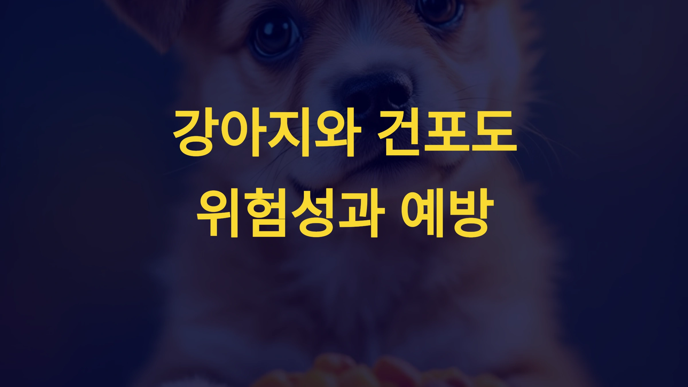 강아지가 건포도를 먹었을 때 생길 수 있는 문제