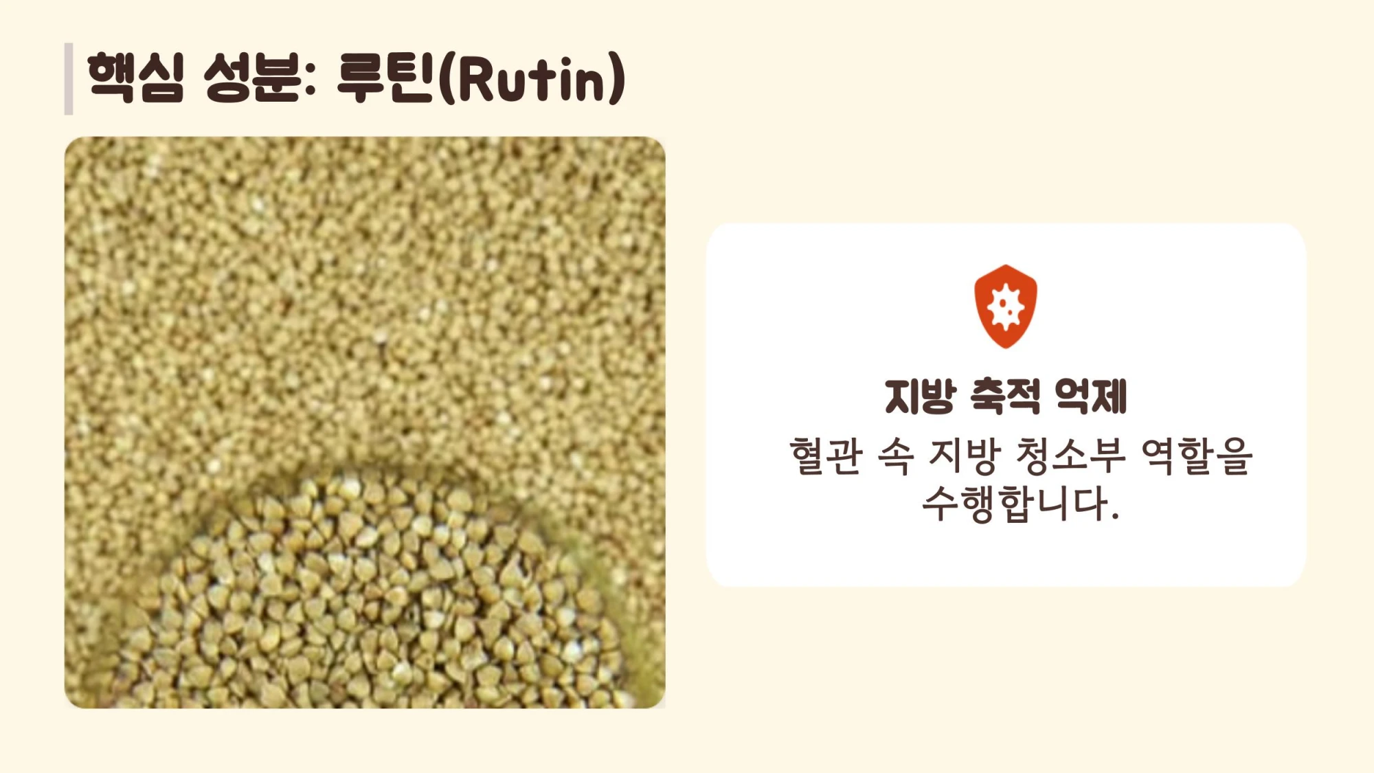 루틴 성분이 혈관을 튼튼하게 하여 나쁜 콜레스테롤을 낮추고 성인병을 예방하는 혈관 청소부 효능 그래픽 이미지