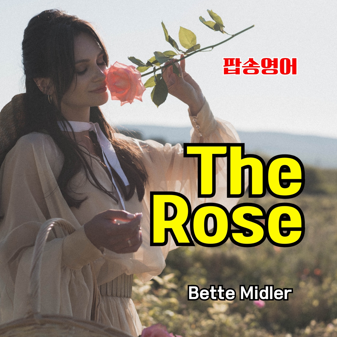 팝송 영어 The Rose 가사 해석 발음 총정리
