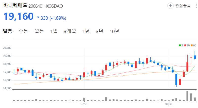 바디텍메드-주가-일봉