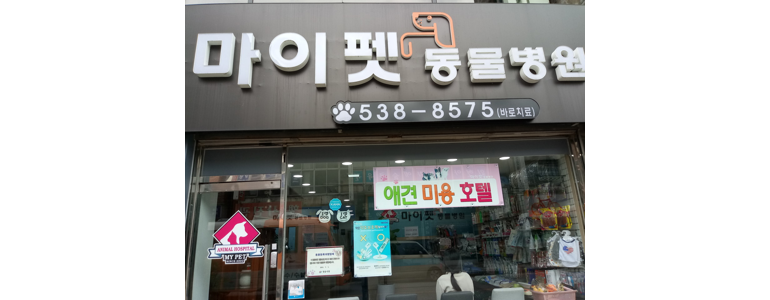 정읍시 동물병원