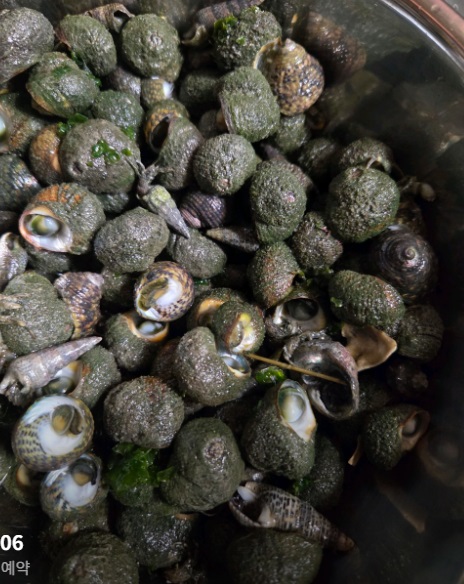 사랑의섬-외달도-한옥민박