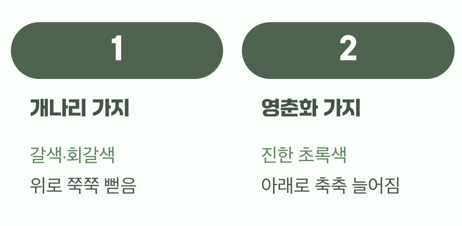 줄기의 색깔이 다릅니다